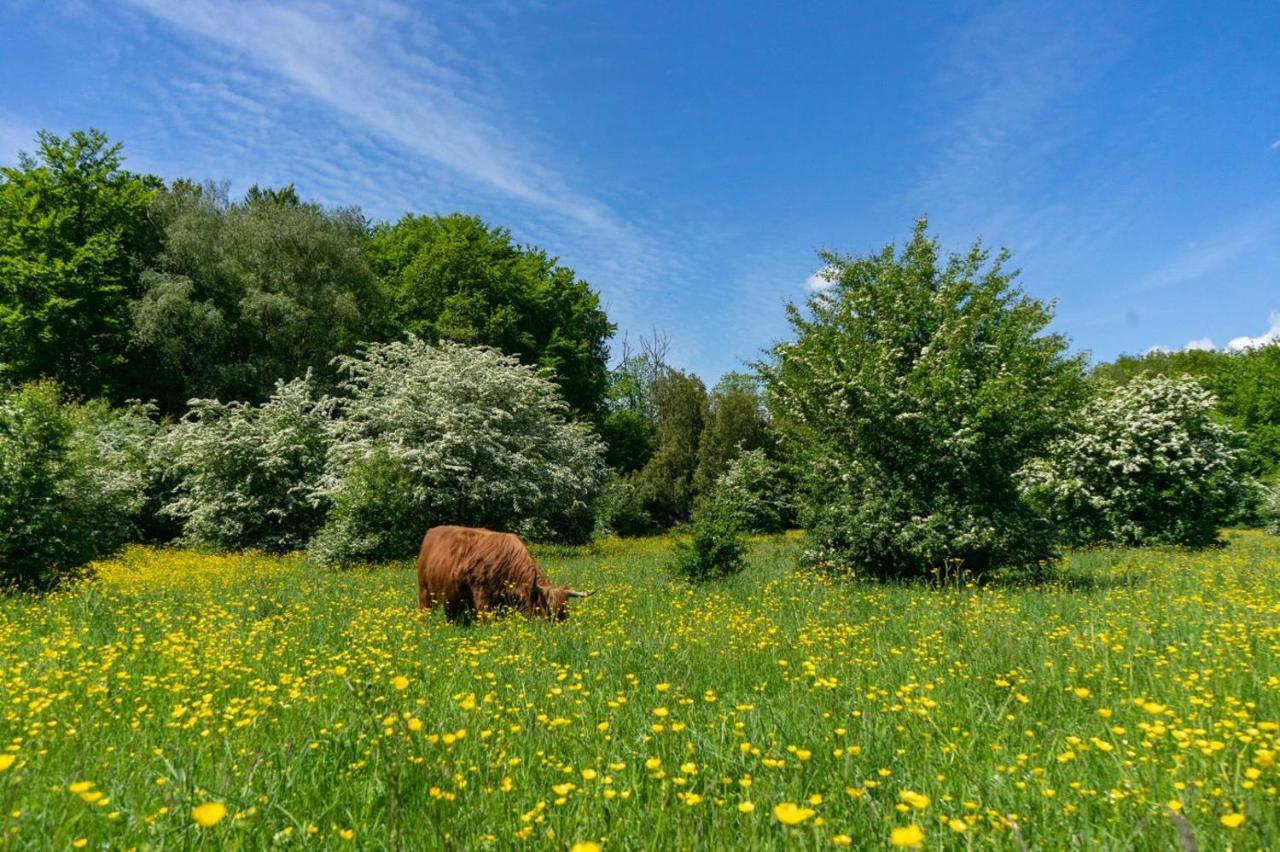 Europarcs Het Amsterdamse Bos Hotel Амстелвейн Екстериор снимка